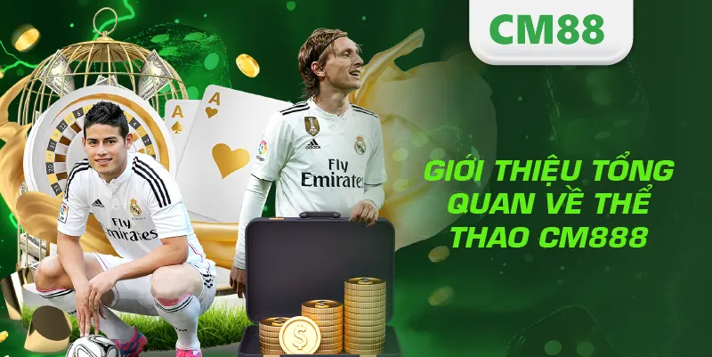 THỂ THAO 1 Giới thiệu tổng quan về thể thao CM888